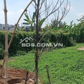 Đất ô tô thông, gần trường Tiểu Học Bình Mỹ, 10x12m, 520tr